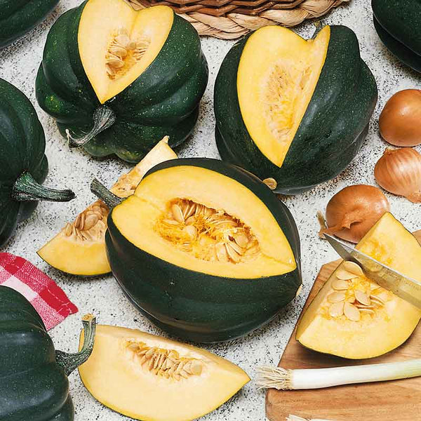 Squash Seeds (Winter) - Table King Bush