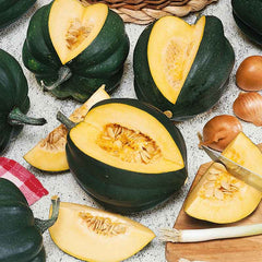 Squash Seeds (Winter) - Table King Bush