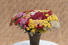 Flowerburst Fruit Bowl