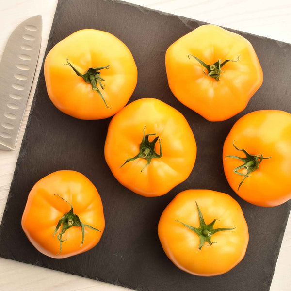 Tomato Seeds - Azoychka