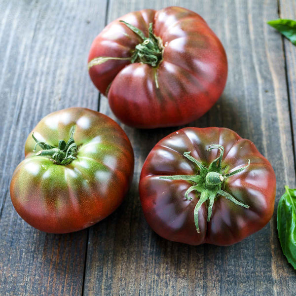 Tomato Seeds - Black Brandywine