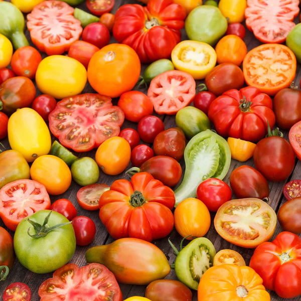 Tomato Seeds - Culinary Blend