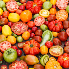 Tomato Seeds - Culinary Blend