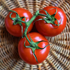 Tomato Seeds - Floradade