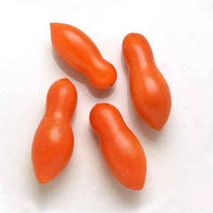 Tomato Seeds - Sun Dipper