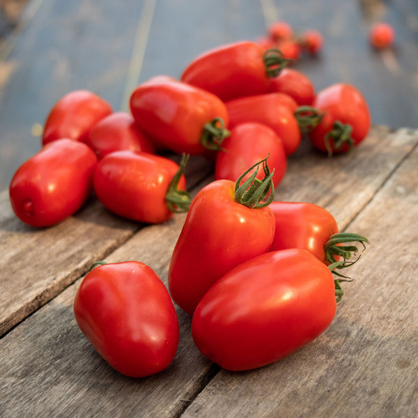 Tomato Seeds - Trutti-Fruiit Paprika F1