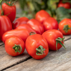 Tomato Seeds - Trutti-Fruiit Paprika F1