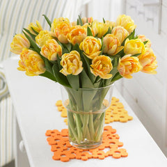 Foxy Foxtrot Double Early Tulip
