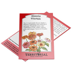 Whirligig Zinnia