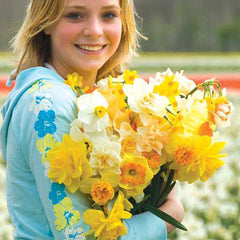 Spring Bonanza Daffodil Mixture Narcissus Bulbs Blooms Species Growing Bonsai Roots Rhizomes Corms Tubers Potted Planting Reblooming Fragrant Garden Flower Seeds Plant