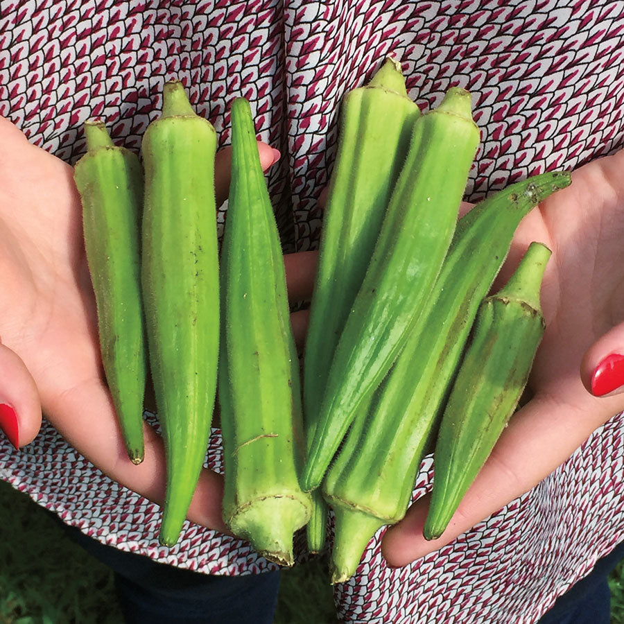 Clemson Spineless Okra Seeds - Seedsplant