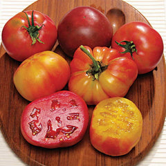 Rainbow Blend Heirloom Tomato Seeds - Plants Seeds