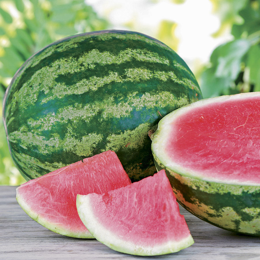 Triple Crown Hybrid Watermelon Seeds - Plants Seeds