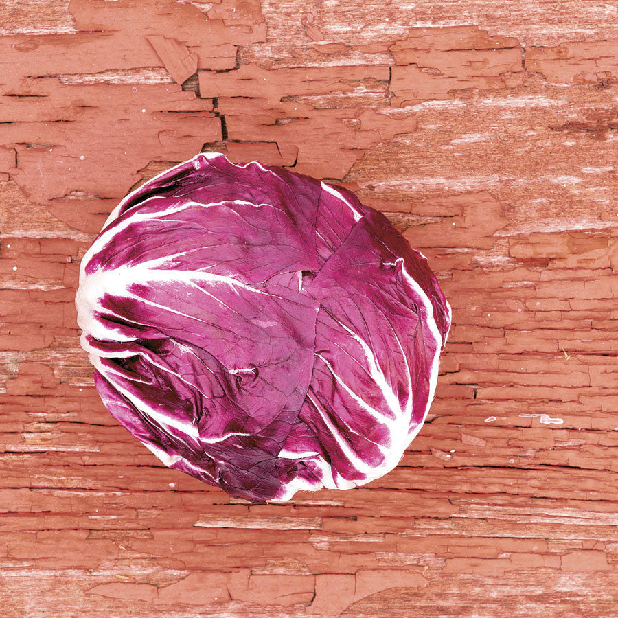 Indigo Hybrid Radicchio Seeds - Plants Seeds