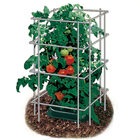 39 inch Park's Wire Tomato Pen - Pack of 3 - Plants Seeds