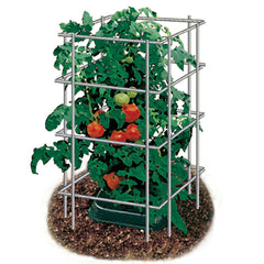 48 inch Park's Wire Tomato Pen - Pack of 3 - Plants Seeds