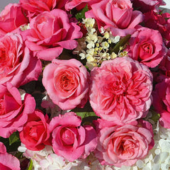 Timeless Pink Rose Seedlings Flower Seeds Perennial Growing Bonsai Corms Tubers Potted Planting Reblooming Fragrant Garden Roots Rhizomes Species Blooms Plant Bulbs Gardening Tree