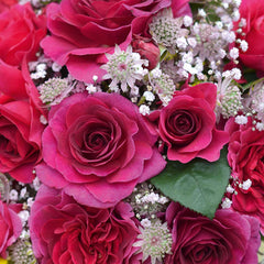 Timeless Purple Rose Seedlings Flower Seeds Perennial Growing Bonsai Corms Tubers Potted Planting Reblooming Fragrant Garden Roots Rhizomes Species Blooms Plant Bulbs Gardening Tree