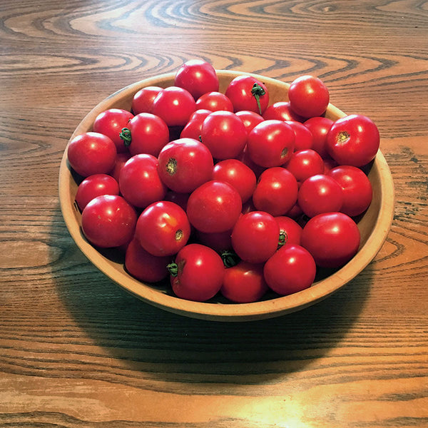 Red Racer Hybrid Tomato Seeds