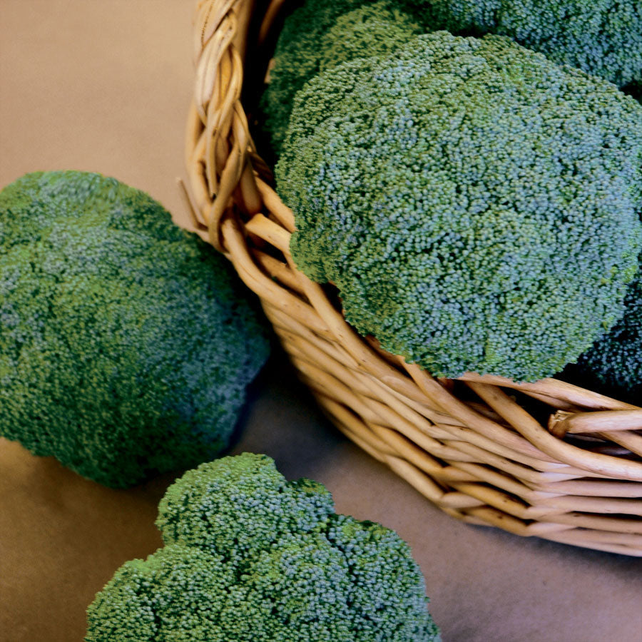 Castle Dome Hybrid Broccoli Seeds - Plants Seeds