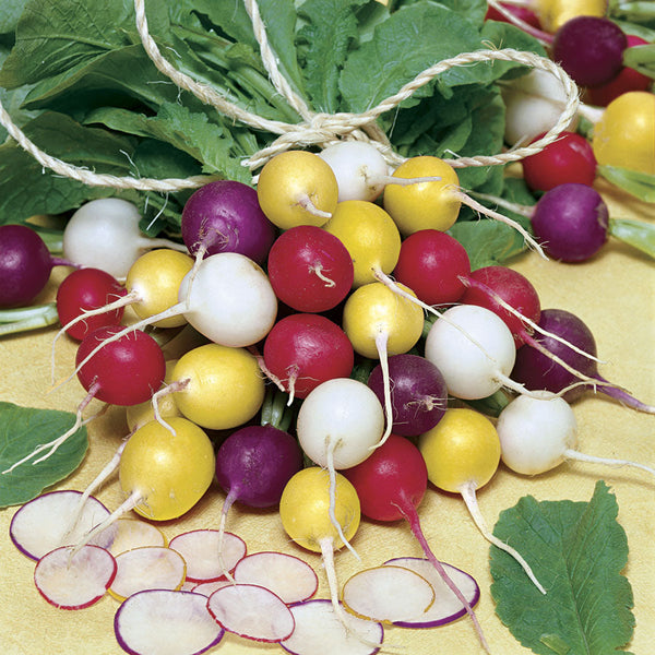 Parks Beauty Blend Radish Seeds