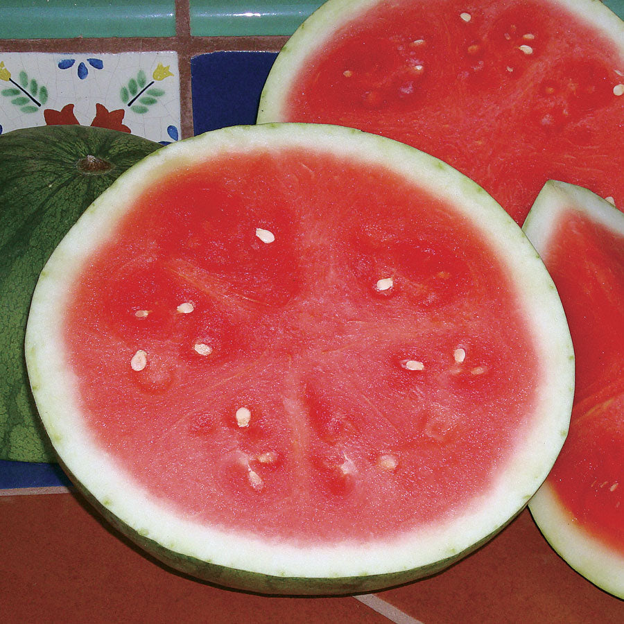 Triple Treat Hybrid Watermelon Seeds - Plants Seeds