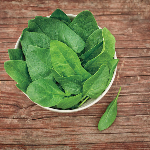 Baby Leaf Riverside Spinach Seeds - Plants Seeds