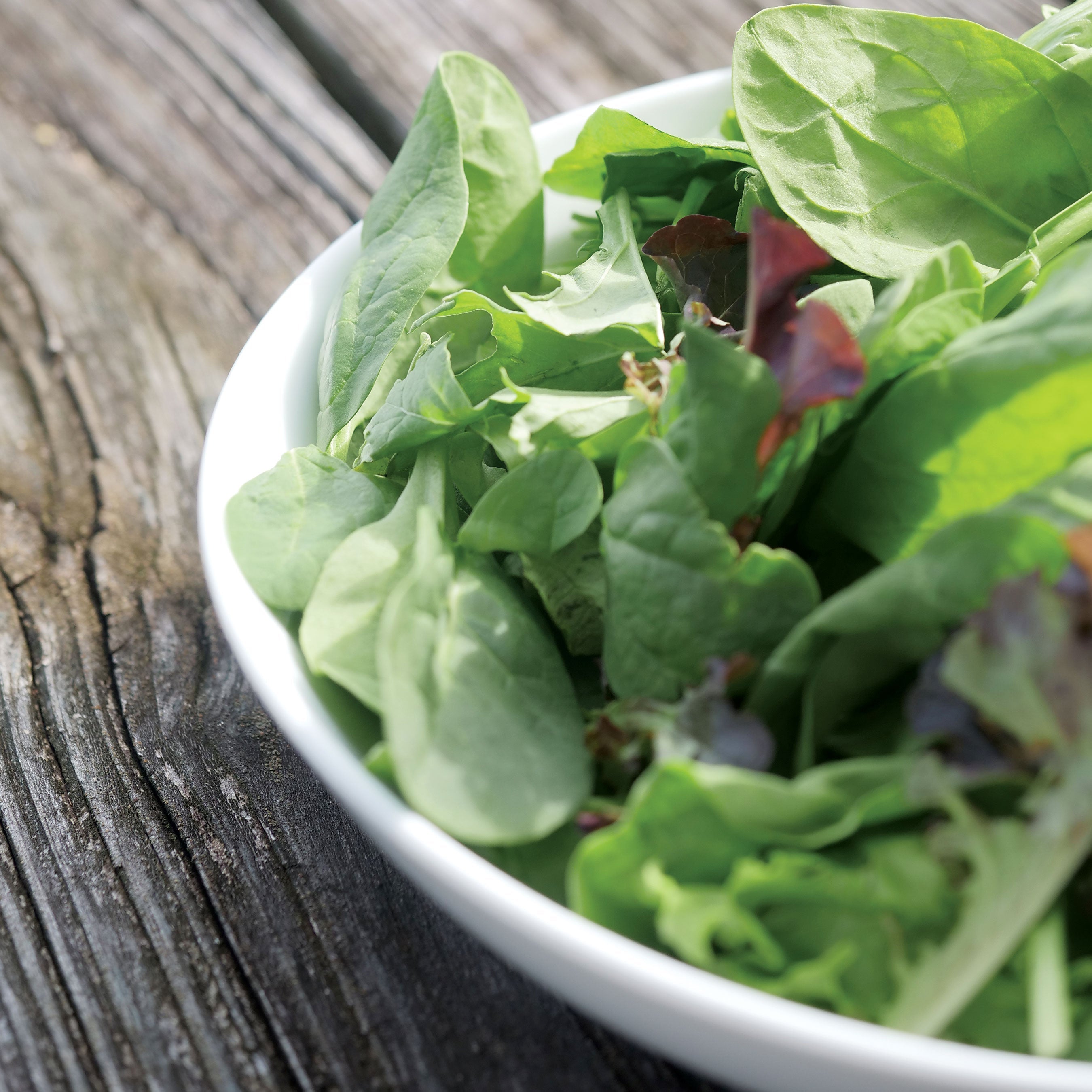 Park's Spinach Salad Blend - Plants Seeds