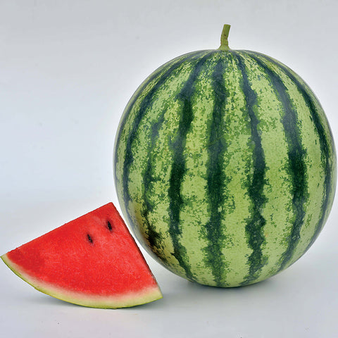 Watermelon Mambo Hybrid - Plants Seeds