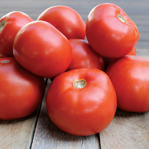 Jamestown Tomato Seeds - Seedsplant
