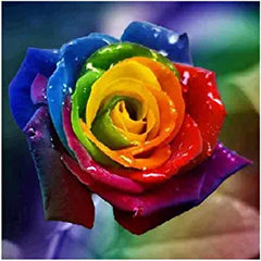 Hot Sell Rainbow Rose Seedlings Flower Seeds Perennial Growing Bonsai Corms Tubers Potted Planting Reblooming Fragrant Garden Roots Rhizomes Species Blooms Plant Bulbs Gardening Tree