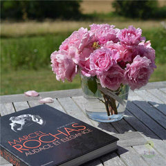 Sophie Rochas Rose Seedlings Flower Seeds Perennial Growing Bonsai Corms Tubers Potted Planting Reblooming Fragrant Garden Roots Rhizomes Species Blooms Plant Bulbs Gardening Tree