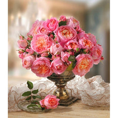 Dames Rose Seedlings Flower Seeds Perennial Growing Bonsai Corms Tubers Potted Planting Reblooming Fragrant Garden Roots Rhizomes Species Blooms Plant Bulbs Gardening Tree - Seedsplant