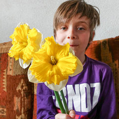 Butterfly Daffodil Blitz Narcissus Bulbs Blooms Species Growing Bonsai Roots Rhizomes Corms Tubers Potted Planting Reblooming Fragrant Garden Flower Seeds Plant