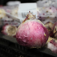 Top Size Hyacinths  Bulbs Blooms Species Growing Bonsai Roots Rhizomes Corms Tubers Potted Planting Reblooming Fragrant Garden Flower Seeds Plant Gardening