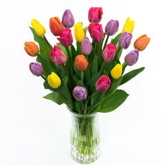 Lasting Love Tulip Bulbs Blooms Species Growing Bonsai Roots Rhizomes Corms Tubers Potted Planting Reblooming Fragrant Garden Flower Seeds Plant