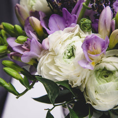 Clear Skies Freesia Bulbs Growing Bonsai Roots Rhizomes Corms Tubers Potted Planting Reblooming Fragrant Garden Species Blooms Flower Seeds Plant Gardening
