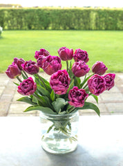Tulip Bulbs Blue Diamond Blooms Species Growing Bonsai Roots Rhizomes Corms Tubers Potted Planting Reblooming Fragrant Garden Flower Seeds Plant