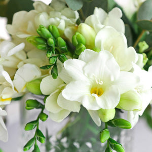 Corvette Freesia Bulbs Growing Bonsai Roots Rhizomes Corms Tubers Potted Planting Reblooming Fragrant Garden Species Blooms Flower Seeds Plant Gardening