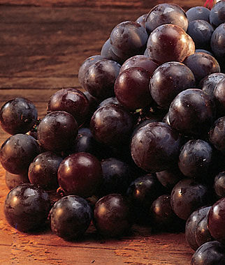 Grape Concord