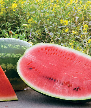 Watermelon, Allsweet Organic - Plants Seeds