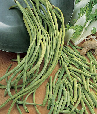 Bean, Asparagus Yardlong - Plants Seeds