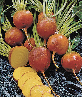 Beet, Burpee's Golden - Plants Seeds