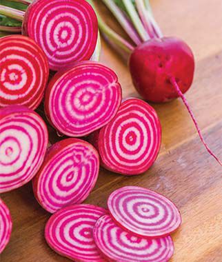 Beet, Chioggia - Plants Seeds