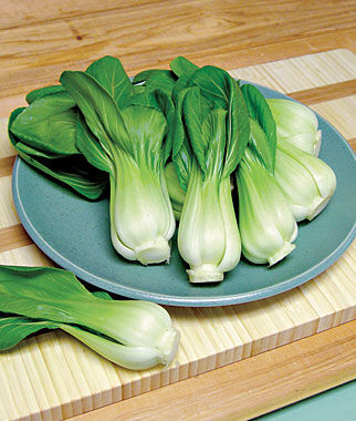 Chinese Cabbage, Pak Choi, Toy Choi Hybrid - Seedsplant