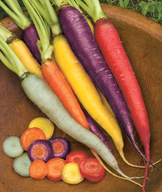 Carrot, Kaleidoscope Blend - Plants Seeds