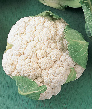 Cauliflower, Early White Hybrid - Plants Seeds