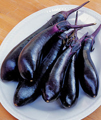 Eggplant, Millionaire Hybrid - Plants Seeds