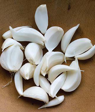 Garlic, Silver Rose - Plants Seeds