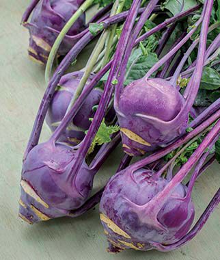 Kohlrabi, Purple Vienna Organic - Plants Seeds